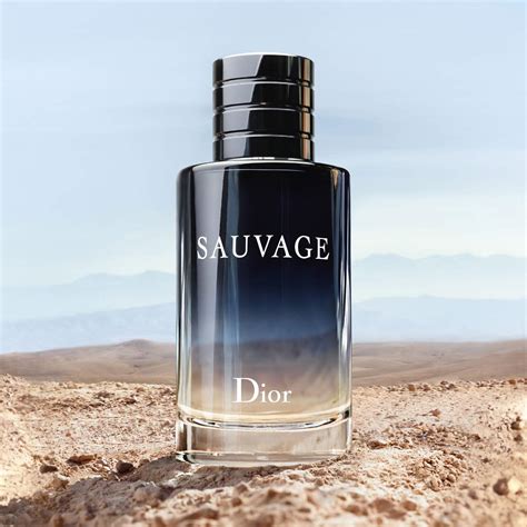 perfum dior sauvage|dior sauvage collection.